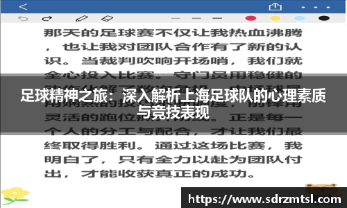 333体育官网
