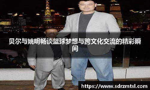 333体育