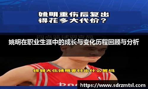 333体育