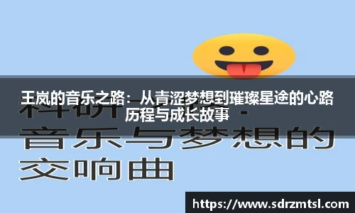 333体育app