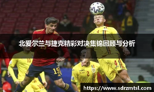 333体育官网